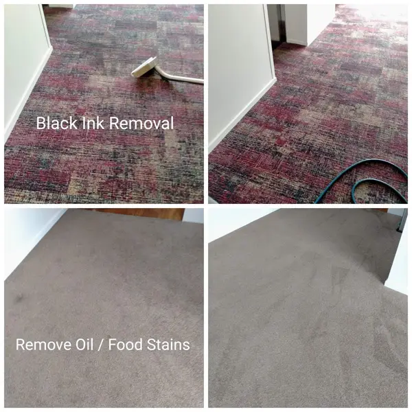 Carpet stain removal before and after